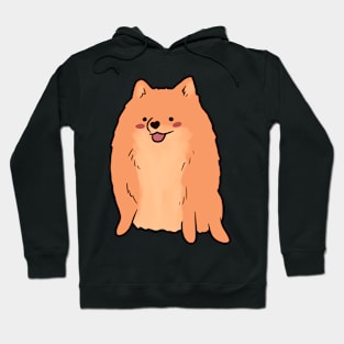 pomeranian illustration Hoodie